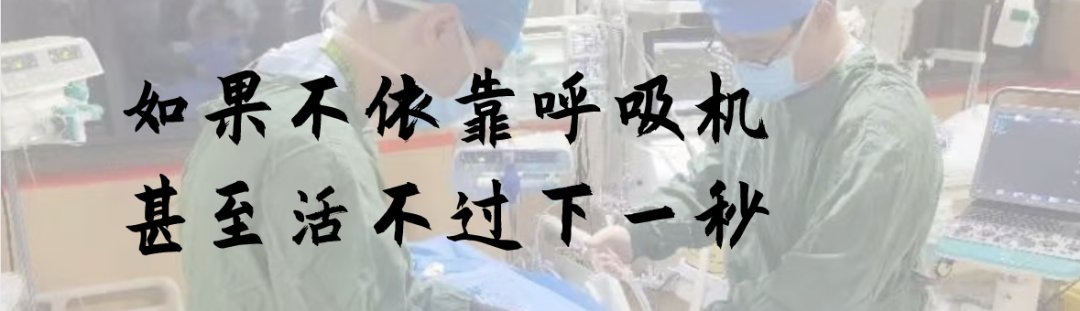 呼吸机|没有机会了，放弃吧！你父亲肺里面像丝瓜壳，甚至活不过下一秒