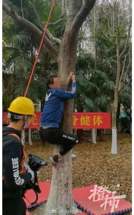 后勤|杭州一高校开爬树课纳入学分，后勤绿化师傅当主讲老师