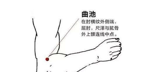 人体|默默讲穴位之曲池穴,它是人体自带的降压穴,人到中年要多揉一揉