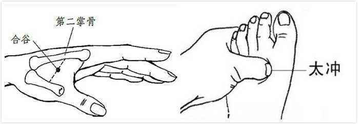 山茱萸|更年期耳鸣、爱出汗、总生气!有一招从古用到今,不过时