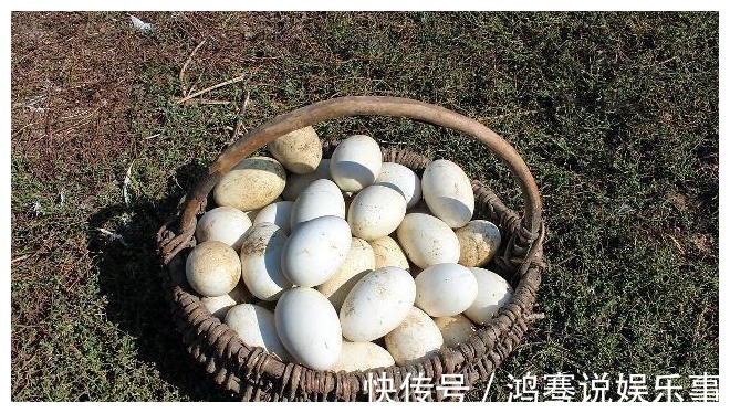 生长发育|刚怀孕就要吃鹅蛋?其实这个月吃最好,别搞错了