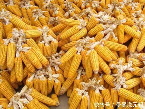 强肝剂|天然的“强肝剂”找到了,坚持每天吃,养肝排毒,肝脏越来越好