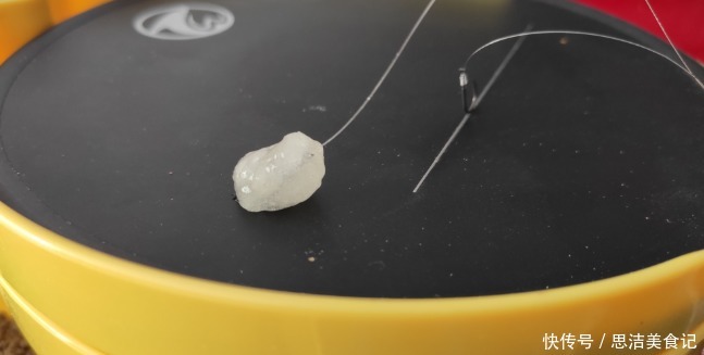 鱼类|曾经明令禁用的饵料却有人偷偷在用，是鱼情下的无奈还是欲想爆护