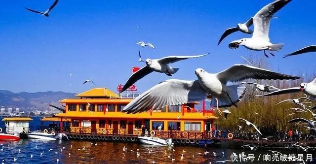 昆明人不仅爱吃各种虫子,就连米线都是甩的