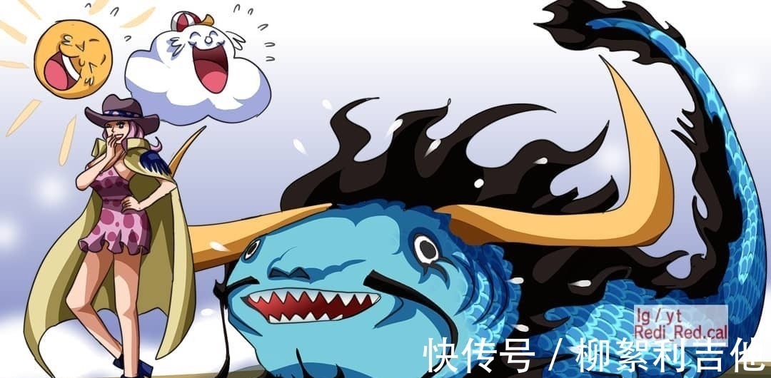 白胡子|凯多再见各位!海贼王我不当了!大秘宝我不要了!因为我要红了