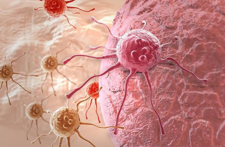 幻儿|什么人更易患癌是瘦子还是胖子这么重要的事,别说你不关心