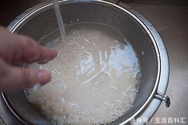 在家浇花,别再用什么淘米水了,直接用“它”浇,比花肥还好用