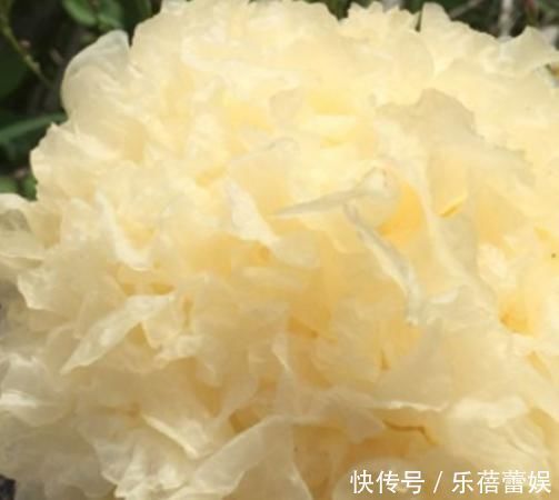 魔芋|皱纹“最怕”这4种食物，聪明女人最爱吃，美白淡斑，抑制黑色素