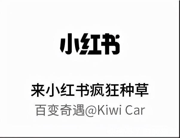 限定|KiWi虎年限定表情包,我的春节气氛组
