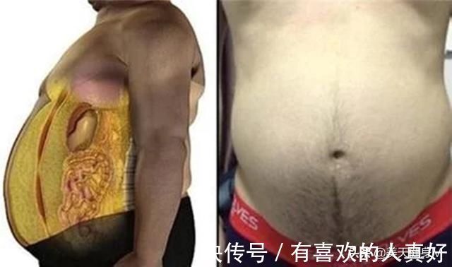 体脂率|腹肌撕裂者训练,健腹轮的5种方式,虐出马甲线,练成巧克力腹肌