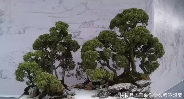 世界上又一奢侈品《盆栽》一盆就是一座房子!