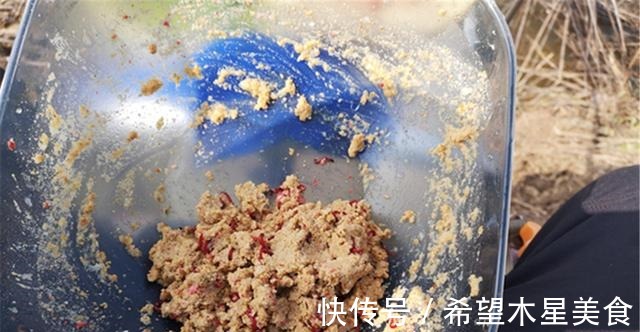 饵团|冬钓鲫鱼,饵料满足这5点要求,没有不咬钩的大板鲫!