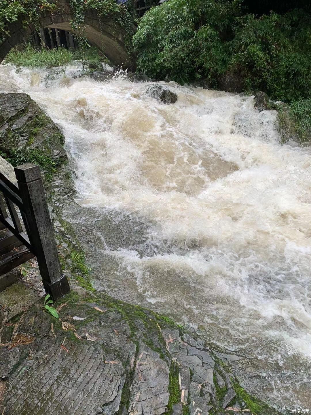 沃沃雨中伴我游（一）