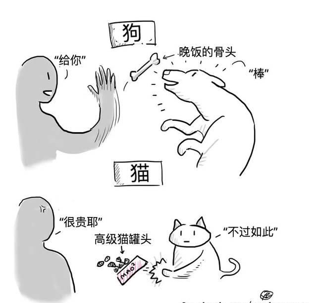 扎心|漫画：8个养猫的扎心瞬间，看完泪崩。