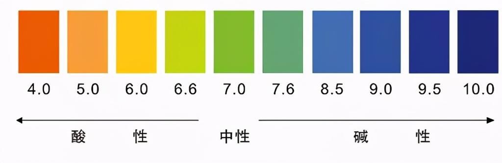 胃黏膜|「胃酸」的腐蚀性有多强？一个实验带你看清楚