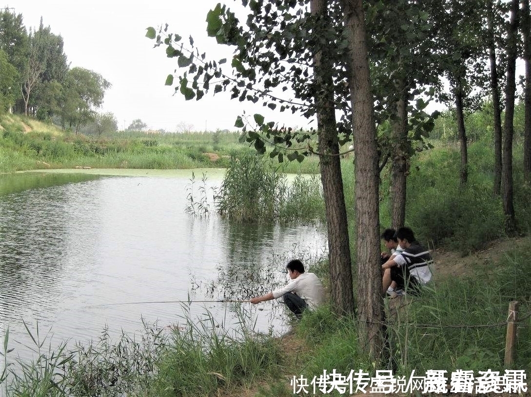 夏季野钓，突然无鱼口，不是钓技不好，原来是这几种因素