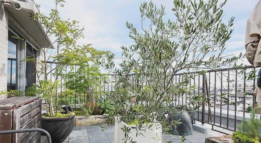 柜子|日本女业主115㎡房，不靠任何人，不多打一个柜子，独享15㎡露台