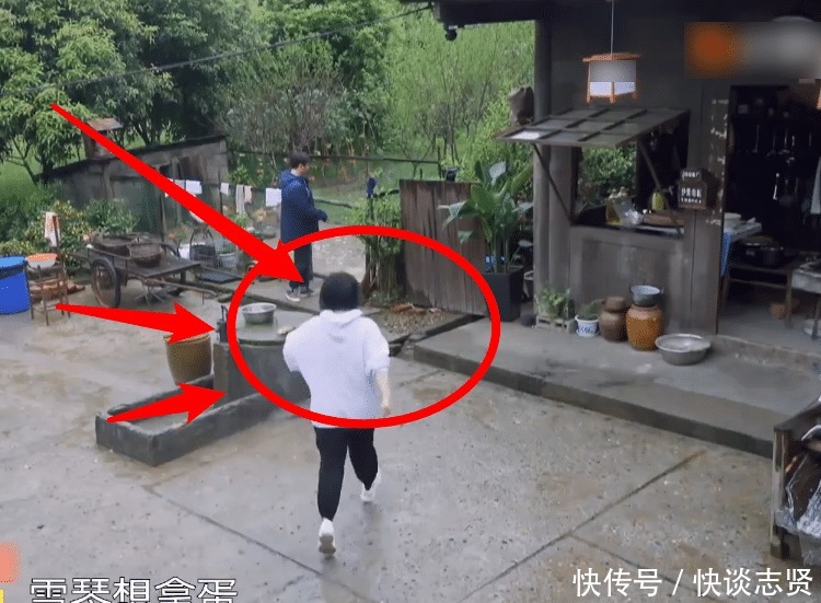 李雪琴 《向往5》继刘晓邑后,又一位全能嘉宾来了,徒手抓鸡还会做木工