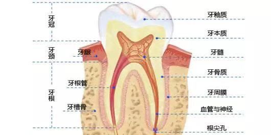 哪有什么“老掉牙”，都是牙周病惹的祸