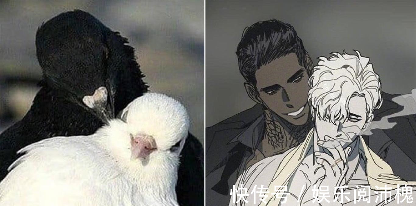 当动物被画师二次元化，可盐可甜可帅气，还是纸片人更让人心动