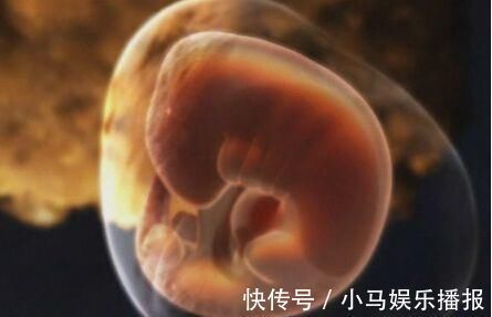 优质蛋白|怀孕第一个月身体会出现哪些变化?5大症状你都有,可能怀上了