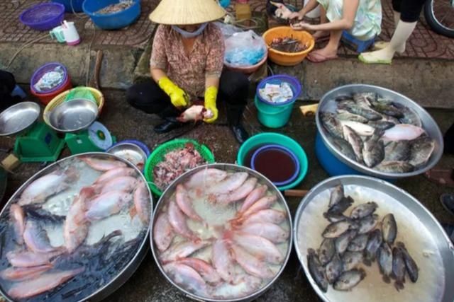 鱼贩子|含“寄生虫”最多的3种鱼,没营养还贵,鱼贩子从不给家人吃