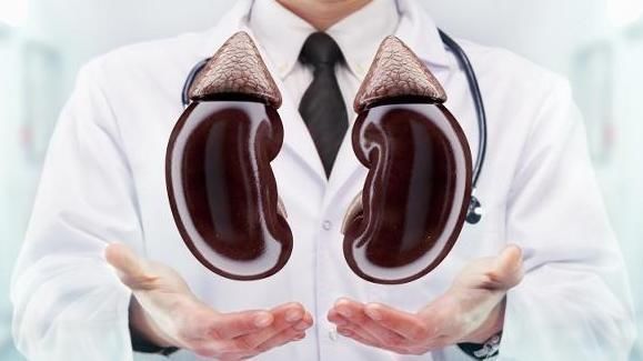 肾脏|养肾的“黄金期”,多吃3物、做好3事,肾或许会“感激”你!