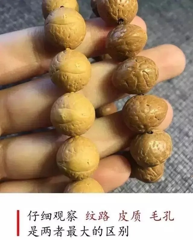 国产|酸枣核已退位,国产嫁接凤眼登场——如何辨别凤眼菩提的产地!