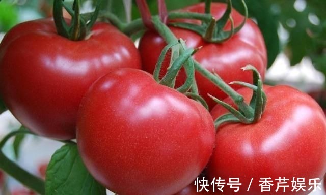 冰箱|3种食物不要放在冰箱,医生警告:放冰箱容易变为致癌物