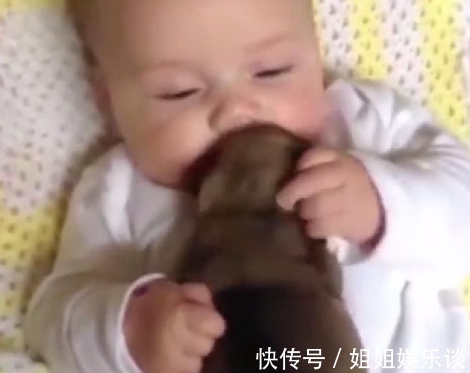 宝妈|小宝宝抱着小奶狗睡觉,下一秒小宝宝的举动让宝妈笑的肚子疼!