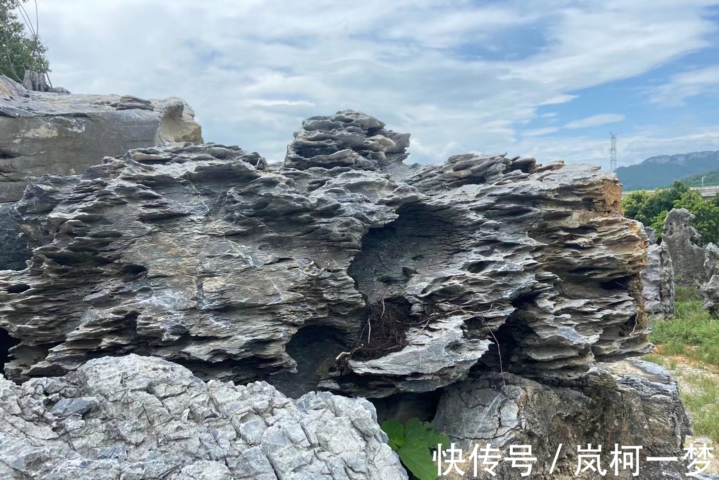 批发基地|公园造景石批发基地，大型造景石产地，造景石品种有哪些?