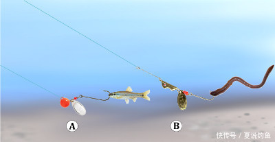 功力|【路亚钓】亮片钓组配重后功力大增