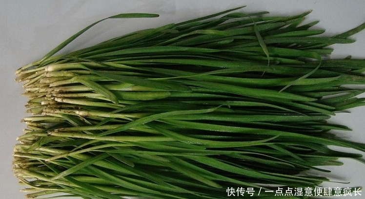 立春后,我常给家人做这道面食,简单一做,薄皮大馅,真香