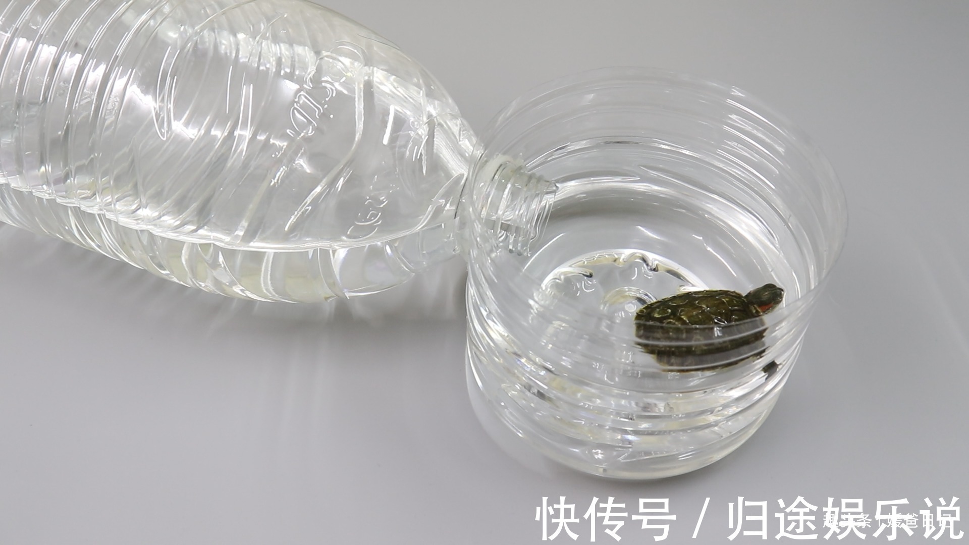 媛爸|我家的小垃圾桶从来不用花钱买,脏了直接换新的,太棒了
