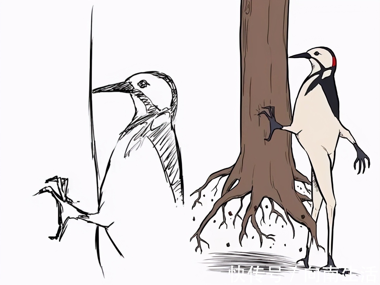 成品@这位日本画师意外火了,每幅画都不画完,成品图真的太“沙雕”