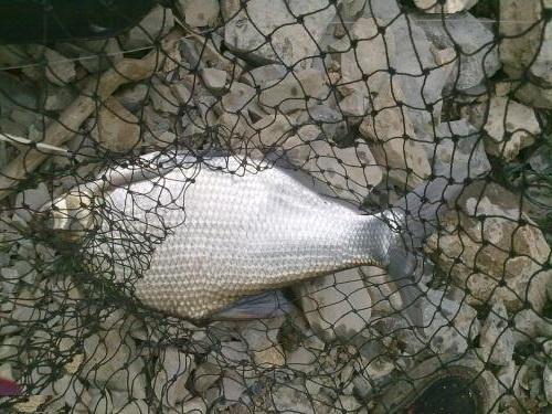 钓鱼时遇到上鱼率低，不要着急上火，试试从这些地方找原因