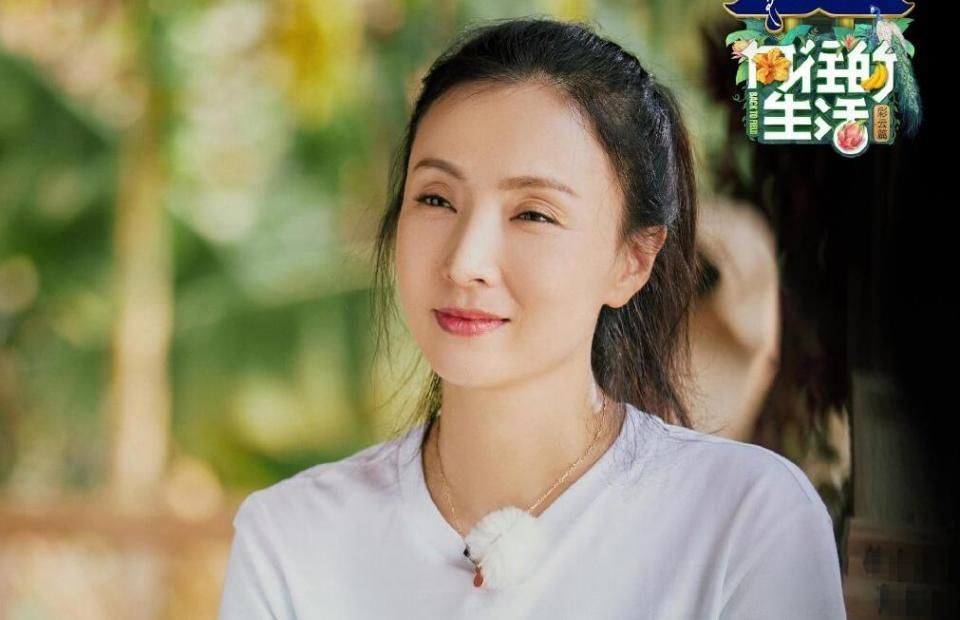 向往生活 陶虹,最不该出现在蘑菇屋的人,但却是黄磊最喜欢接待的人