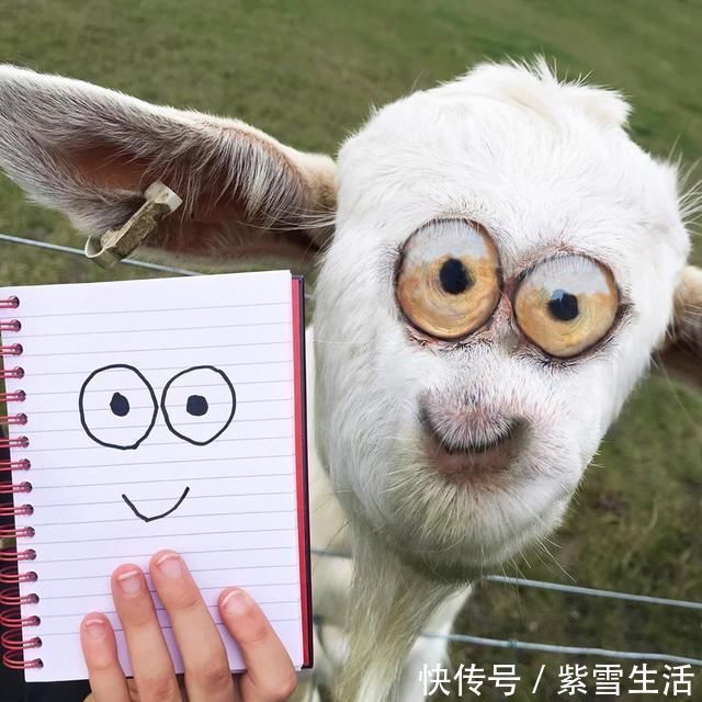 花式秀!儿子画成什么样,爸爸就能P成什么样子,花式秀父爱坐拥百万粉丝