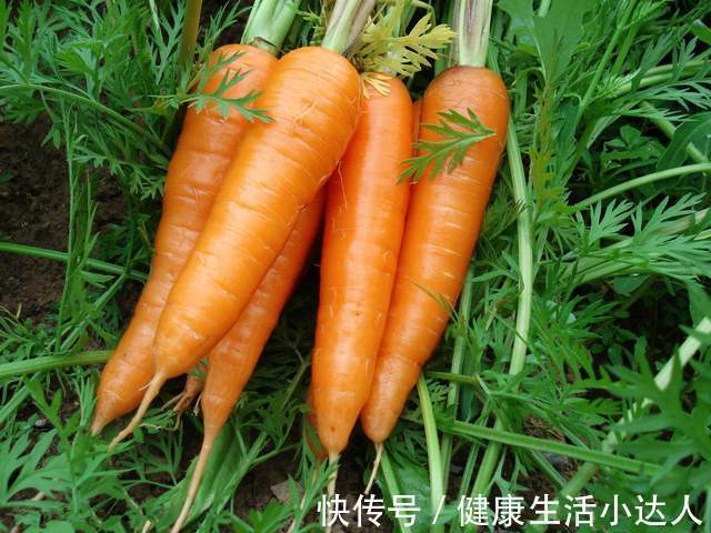 黑木耳|烟毒有多毒？常吸烟的人，坚持做好三点，排出烟毒，肺干净