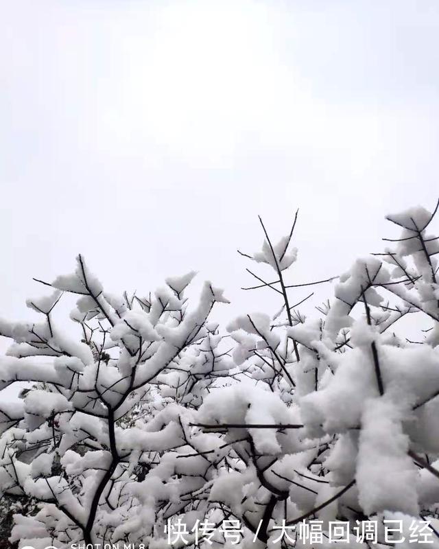 银装素裹|南太行今冬第一场雪来的是那么突然满山银装素裹