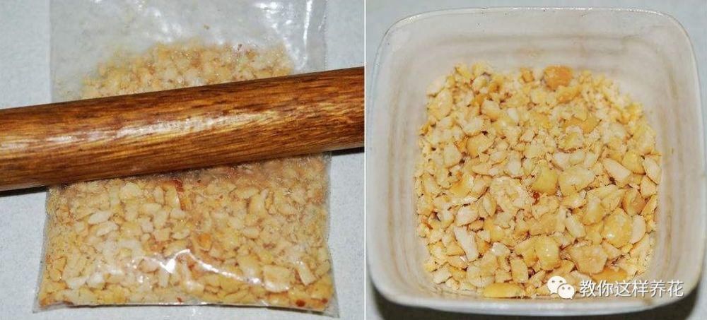 老花匠|老花匠:扔4种“东西”,就是扔钱,比花肥还好用,不花钱!