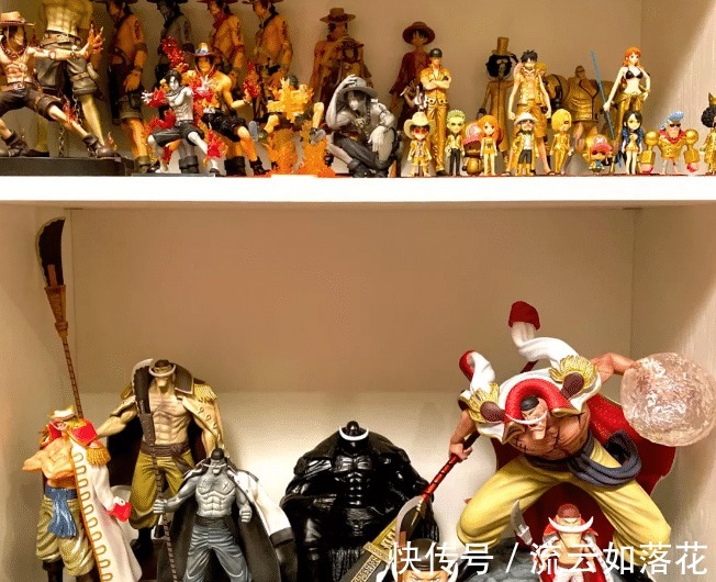 女帝|集齐《海贼王》全套人物手办要多少钱,女帝手办花三月工资