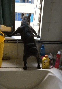 |搞笑GIF从来没有见过如此较真的一个大哥，非要弄得一样宽吗？