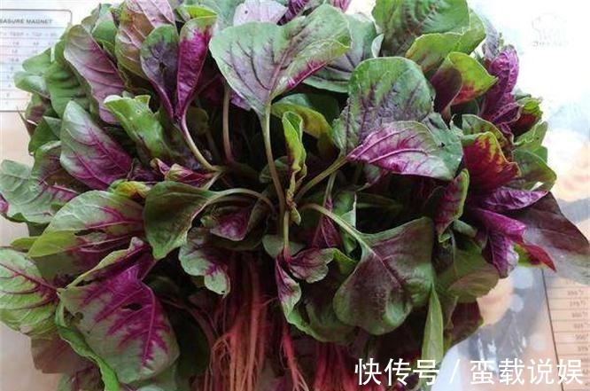 长寿|人要长寿,多吃3种蔬菜,减少脂肪,排毒清肠,早吃早好