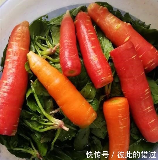 买胡萝卜时,这3种不能要,菜贩子自己都不吃