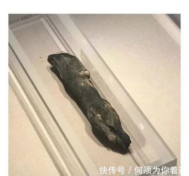 王羲之|你以为王羲之用的是现代毛笔写出《兰亭序》骗了我们上千年