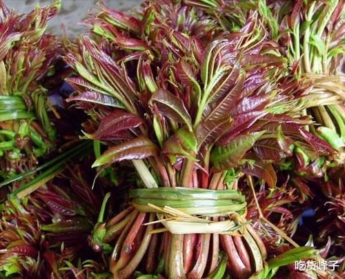 春天到了，因此春天遇到這4菜別錯過，等長大了叫白蒿，營養(yǎng)高味道鮮美