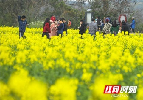 道县郊游 乐享假日