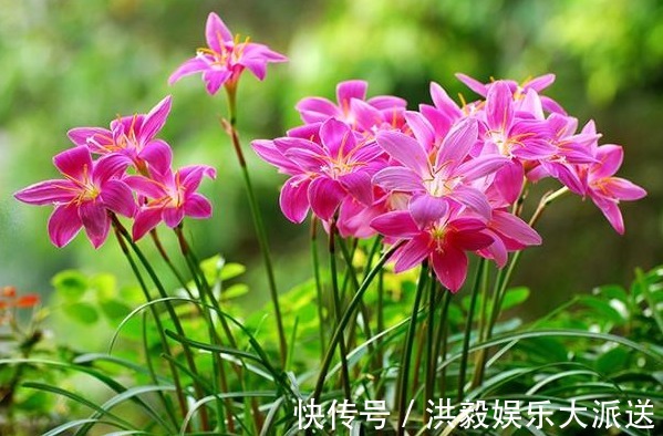 财福#俗话说心宽一寸,受益三分,只有拥有4种心态,才能财福双旺!