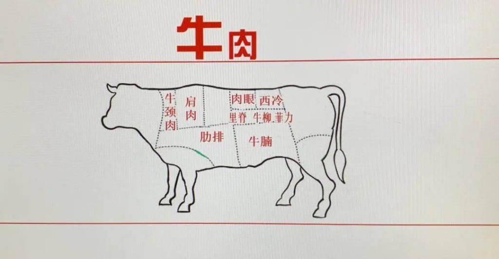  淄博|美食淄博 · 冬吃牛肉好处多
